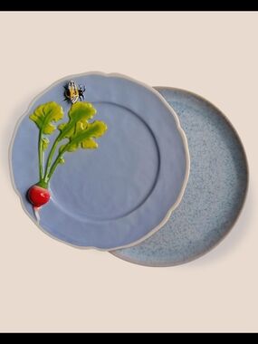 Duo Of Decorative Ceramic Plate Anthropologie And Barcela Cottagecore Spring 🌼
